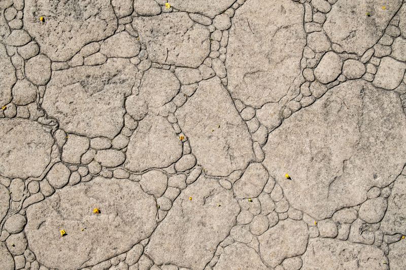 Decorative Concrete Repair in Denver, CO