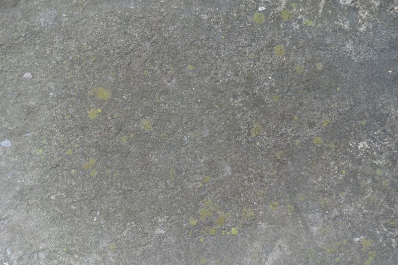Cost of Concrete Staining — Cost of Concrete Staining